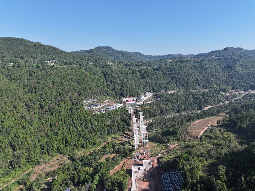 1729049279466042500.jpg b.jpg