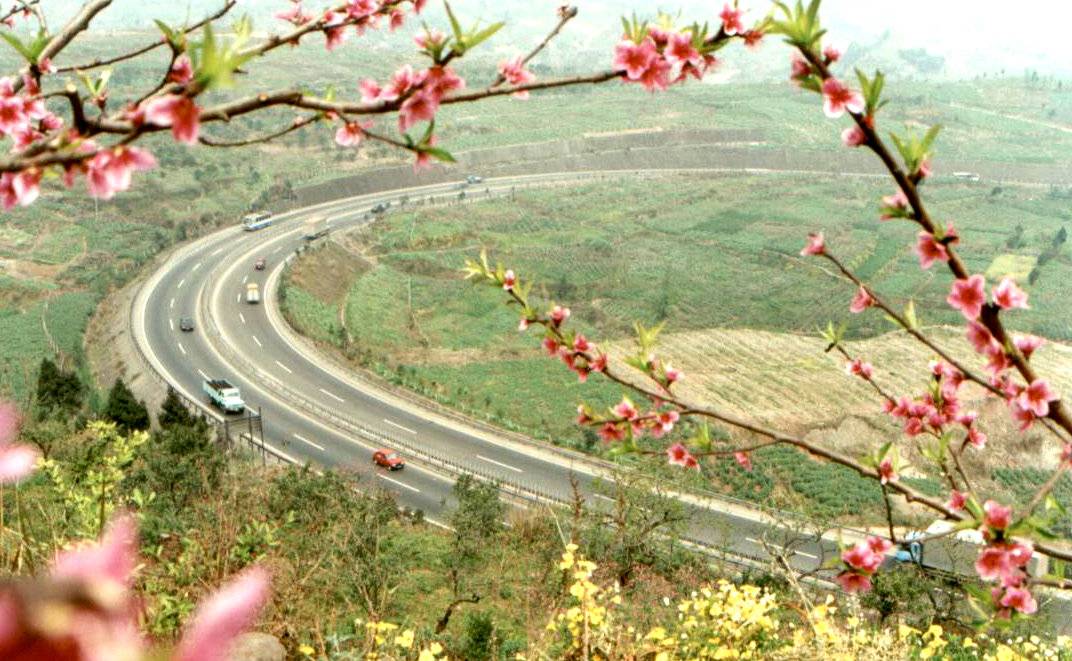 1736305783574034294.jpg 1736147610097026038.jpg