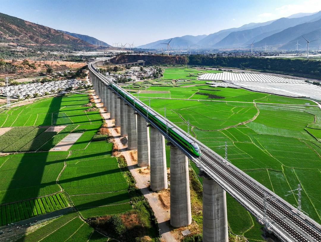 1741674071909090287.jpg 5.jpg