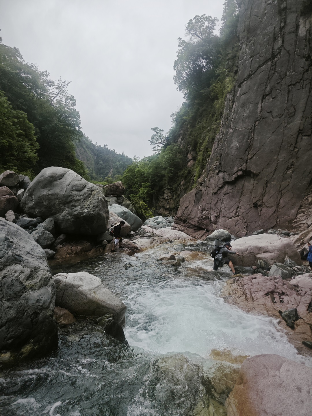 1751853059344093065.jpg 1.jpg