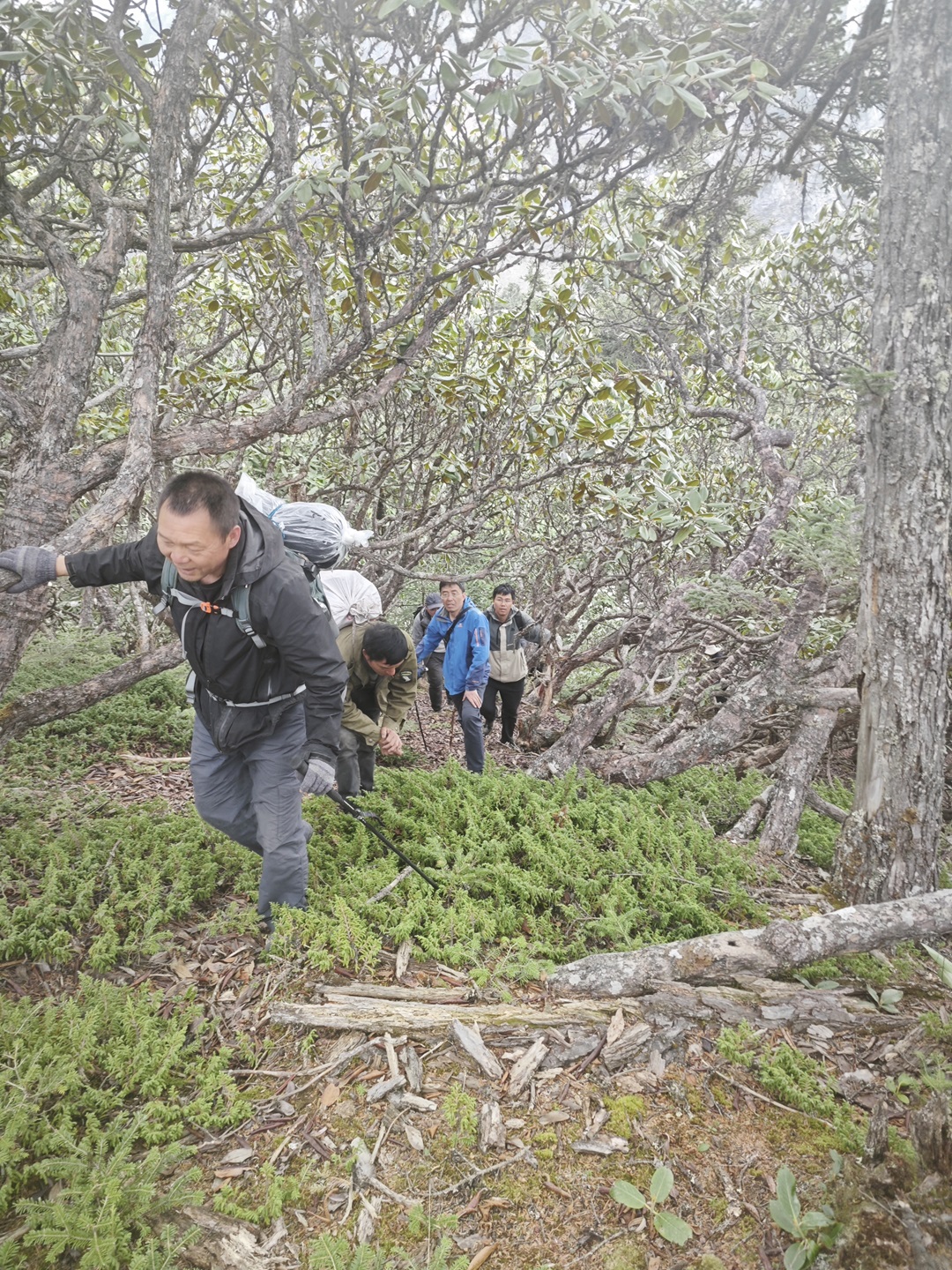 1751853190094069604.jpg 7.jpg