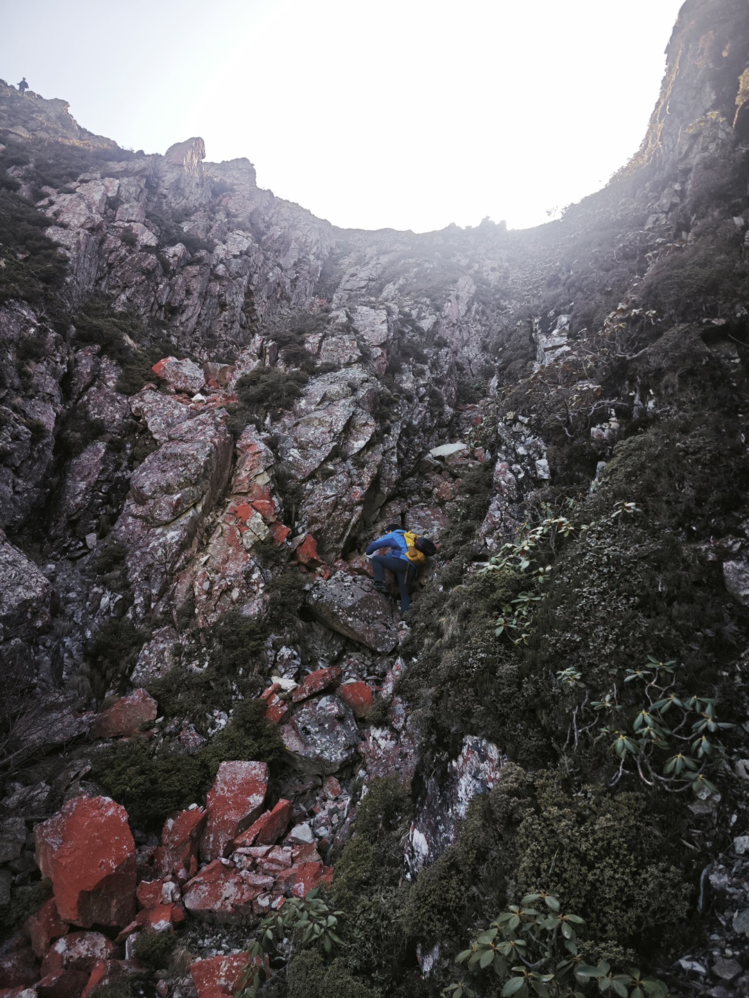 1751853351734041179.jpg 13.jpg