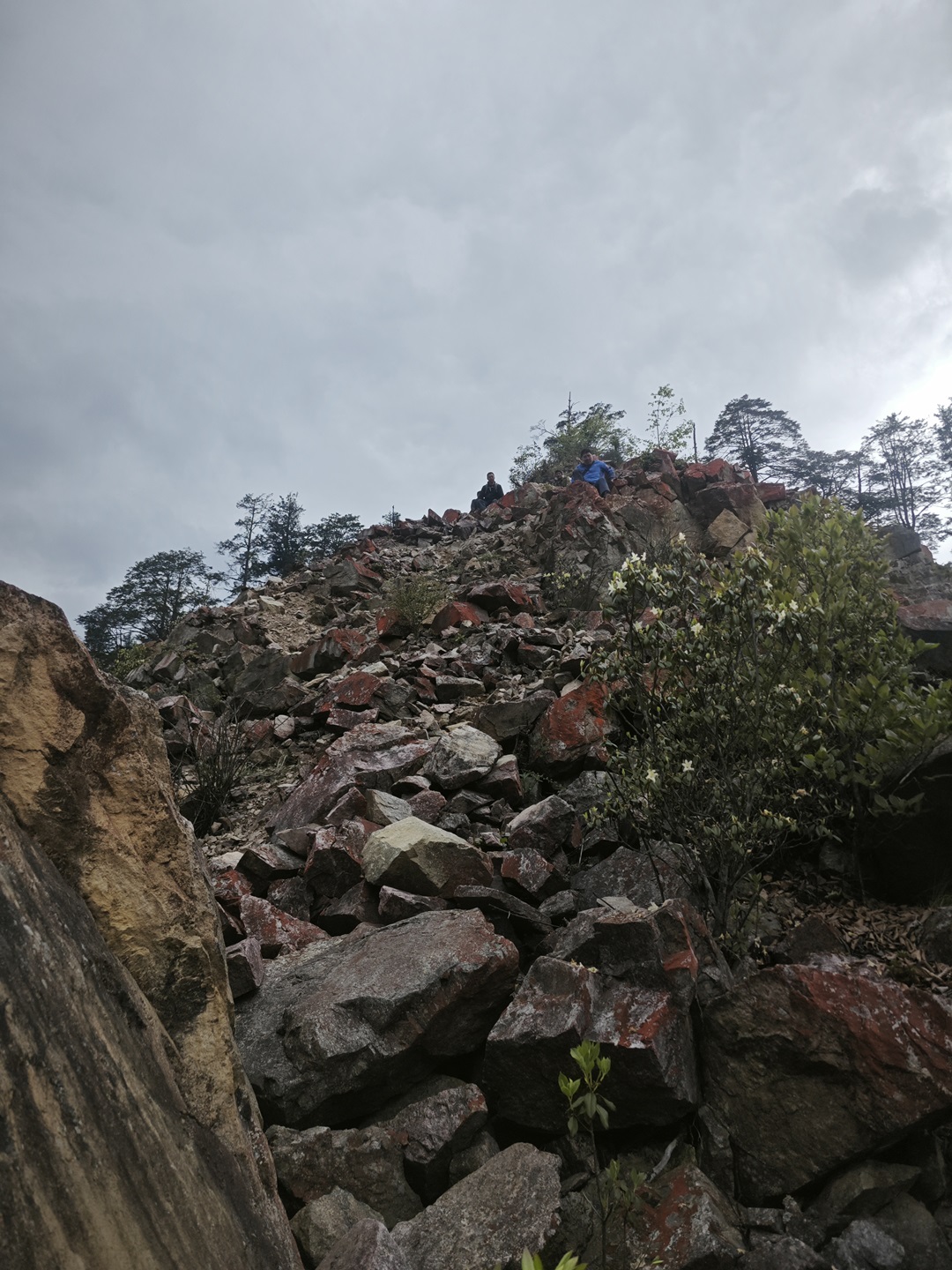 1751853474703069989.jpg 17.jpg