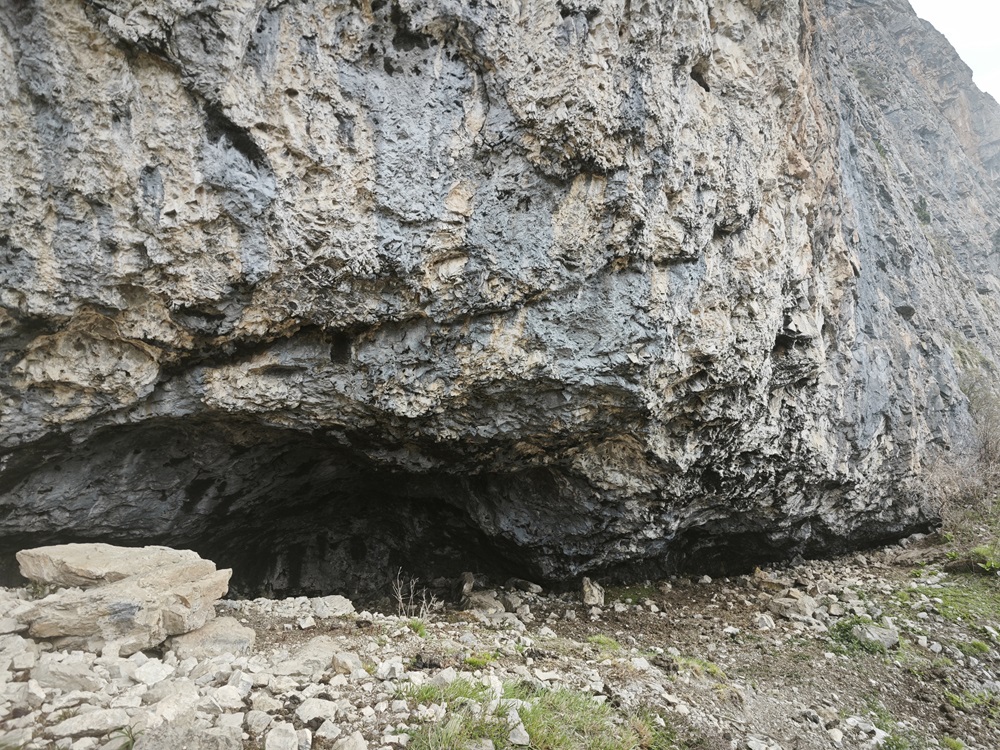 1751853481469009601.jpg 18.jpg