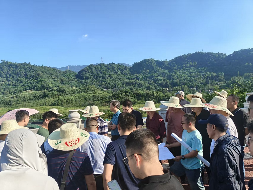 1754377314562055667.jpg pic(6).jpg