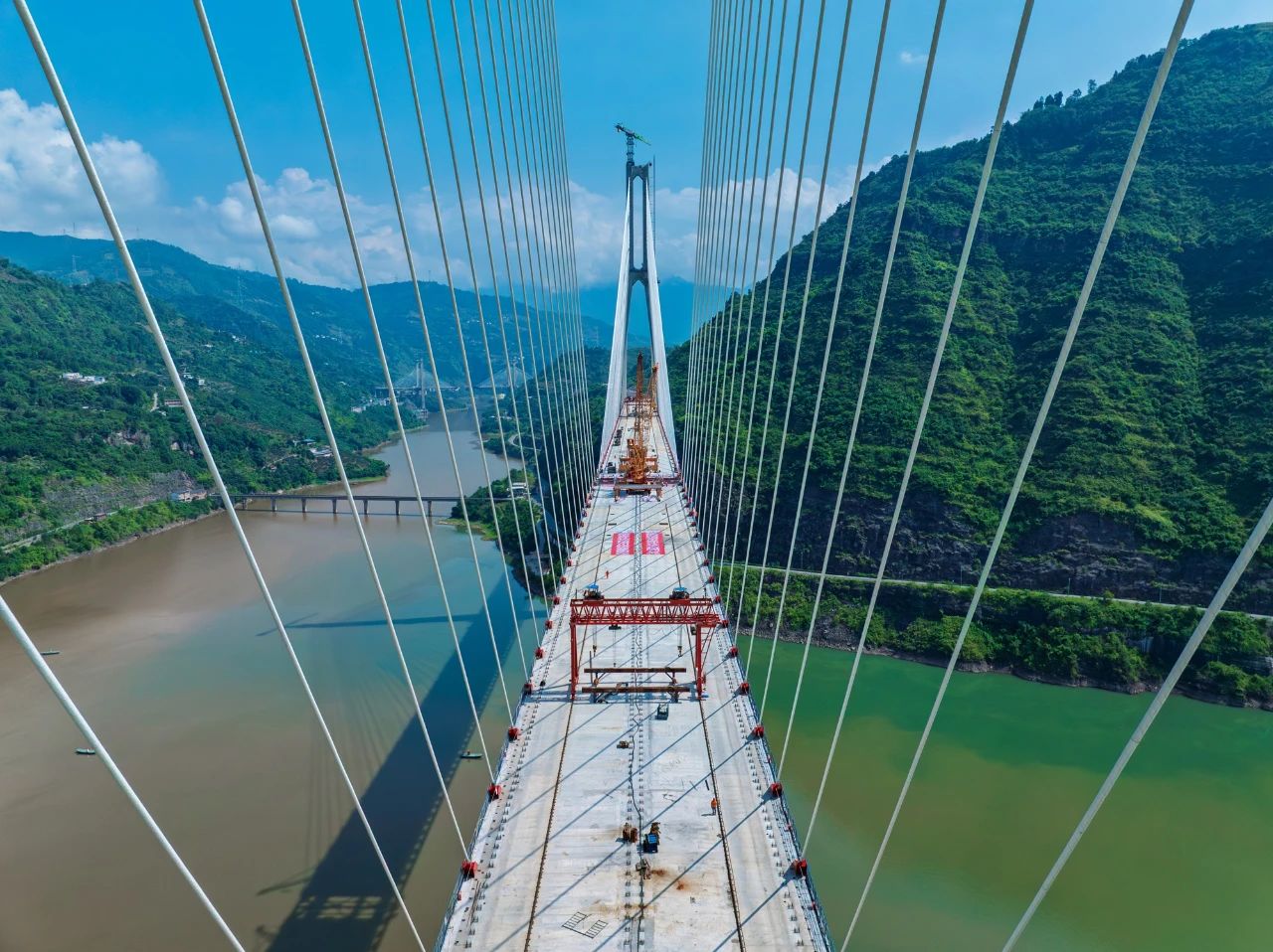 1755738483522053733.jpg 2.jpg